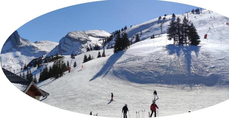 Studio Pied Des Pistes Віллар-де-Лан Екстер'єр фото